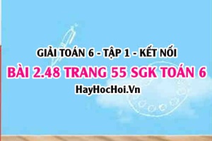 Giải bài 2.48 trang 55 Toán 6 Tập 1 SGK Kết nối tri thức